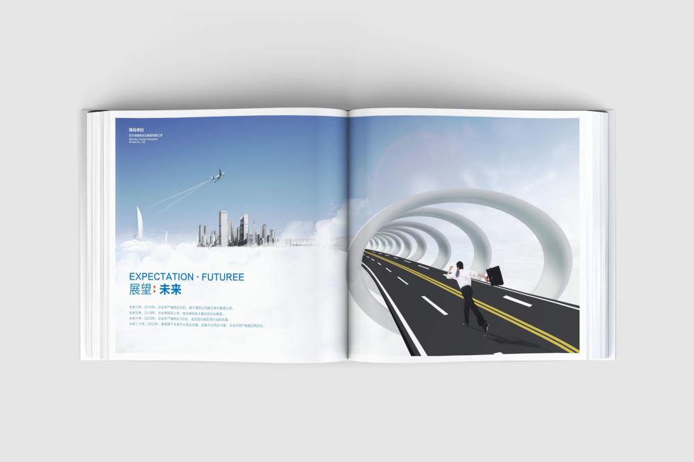 金明区画册设计